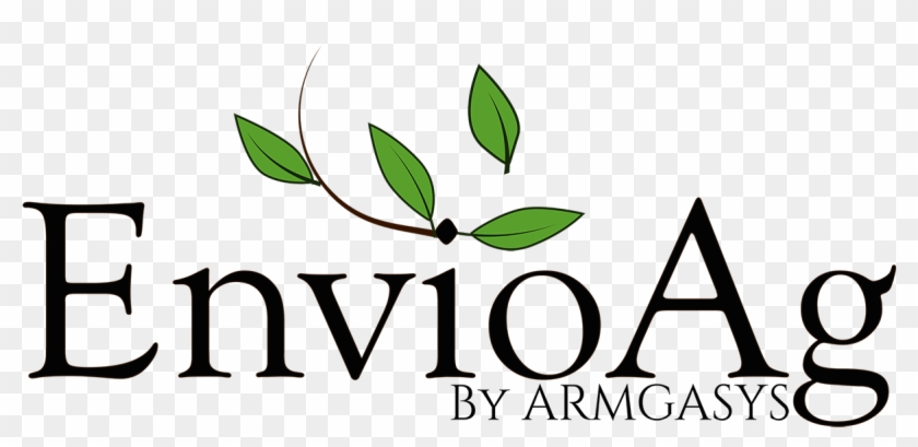 Download Colored Version 1200×548 Pixels Png - Download Colored Version 1200×548 Pixels Png #1561457