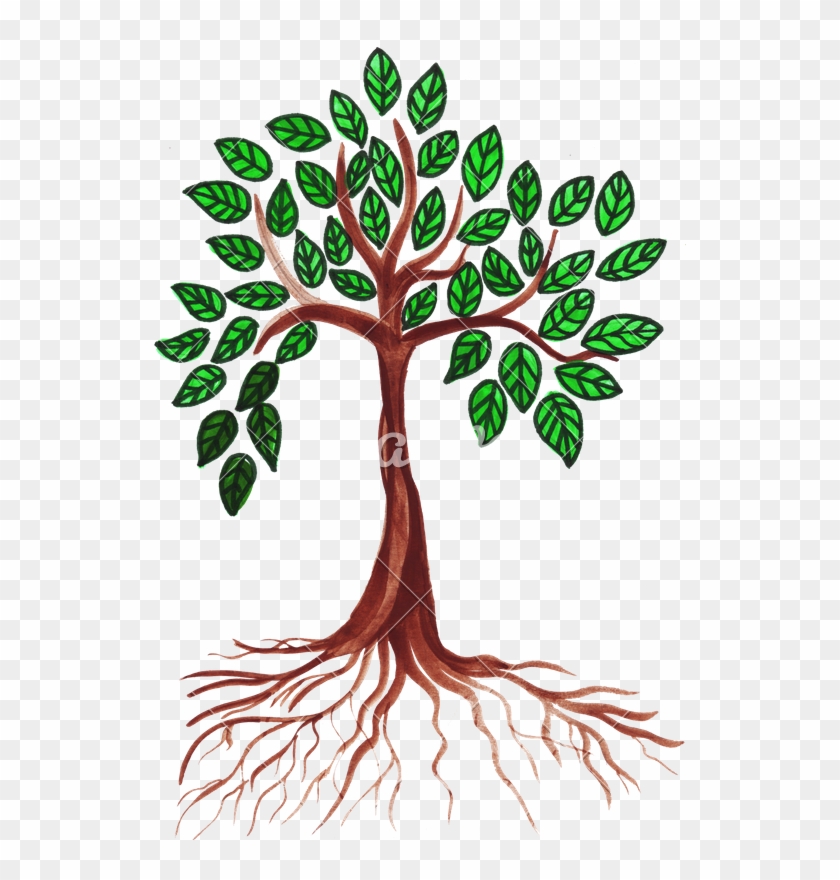 Green Drawing Tree - Green Drawing Tree #1561520