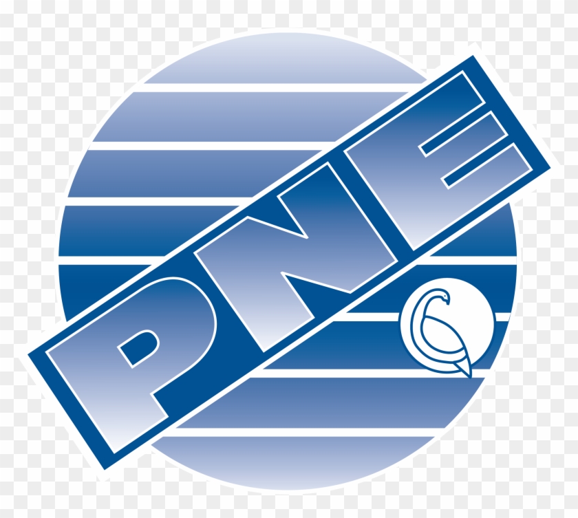 Pne Corporation - Pne Corporation #1561560