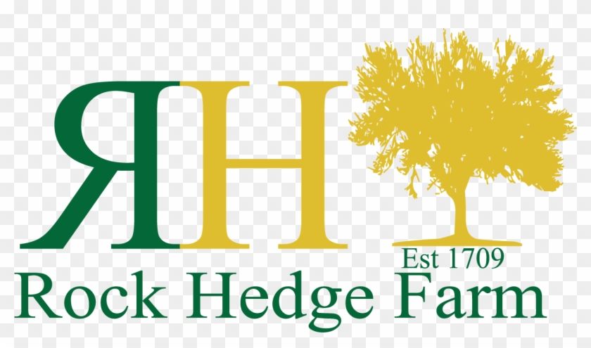 Logo Design By Cdcancin For This Project - Logo Design By Cdcancin For This Project #1561809