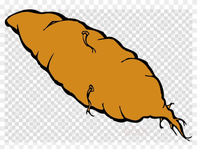 Yam Clip Art Clipart Yam Sweet Potato Clip Art - Yam Clip Art Clipart Yam Sweet Potato Clip Art #1562116