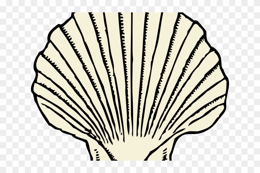Shell Clipart Minos - Shell Clipart Minos #1562408