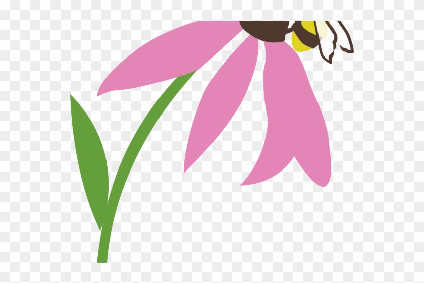 Pollination Clipart Insect - Pollination Clipart Insect #1562491