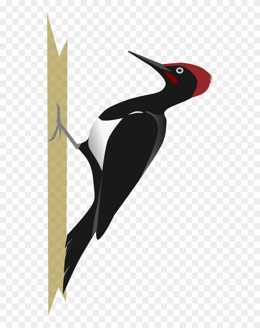 Red Headed Woodpecker Clipart - Red Headed Woodpecker Clipart #1563567