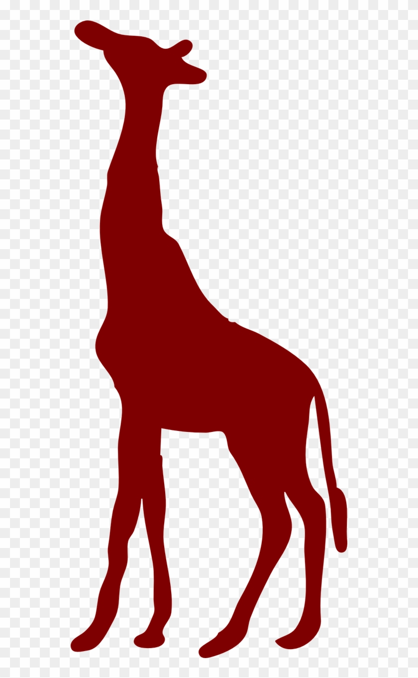 Giraffe Mammal Animal - Giraffe Mammal Animal #1563588