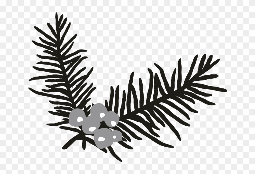 Holly Branch Motif - Holly Branch Motif #1564051