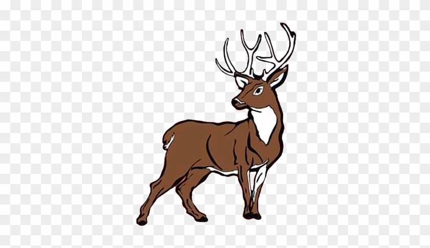 Deer Clipart Scenery - Deer Clipart Scenery #1564464