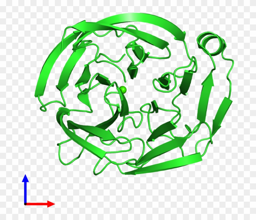 Pdb 4rmk Coloured By Chain And Viewed From The Front - Pdb 4rmk Coloured By Chain And Viewed From The Front #1564503