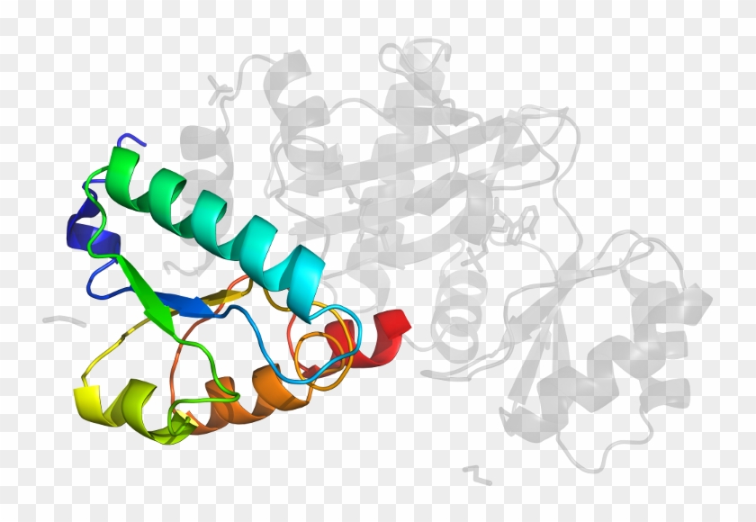 D5nria1 In Context Of Chain - D5nria1 In Context Of Chain #1564538