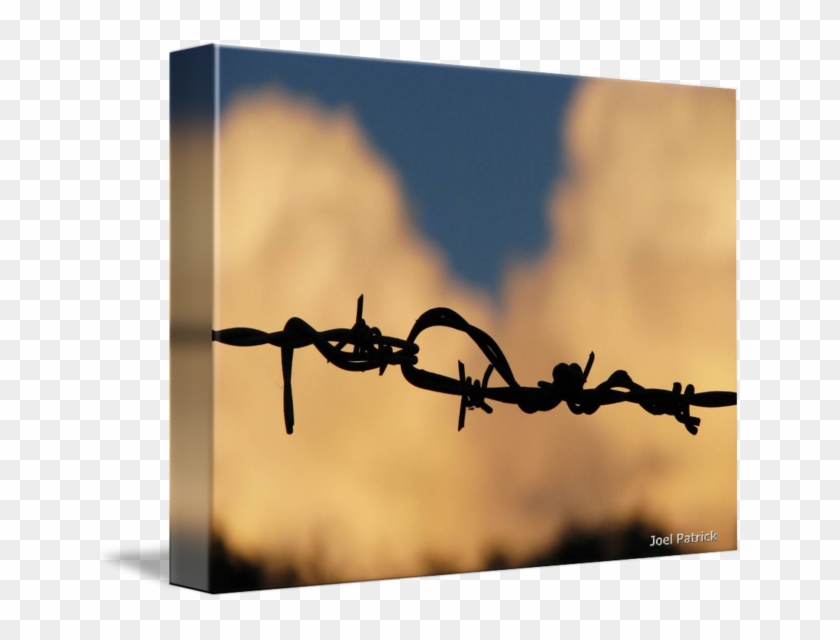 Barbed Wire City - Barbed Wire City #1564884
