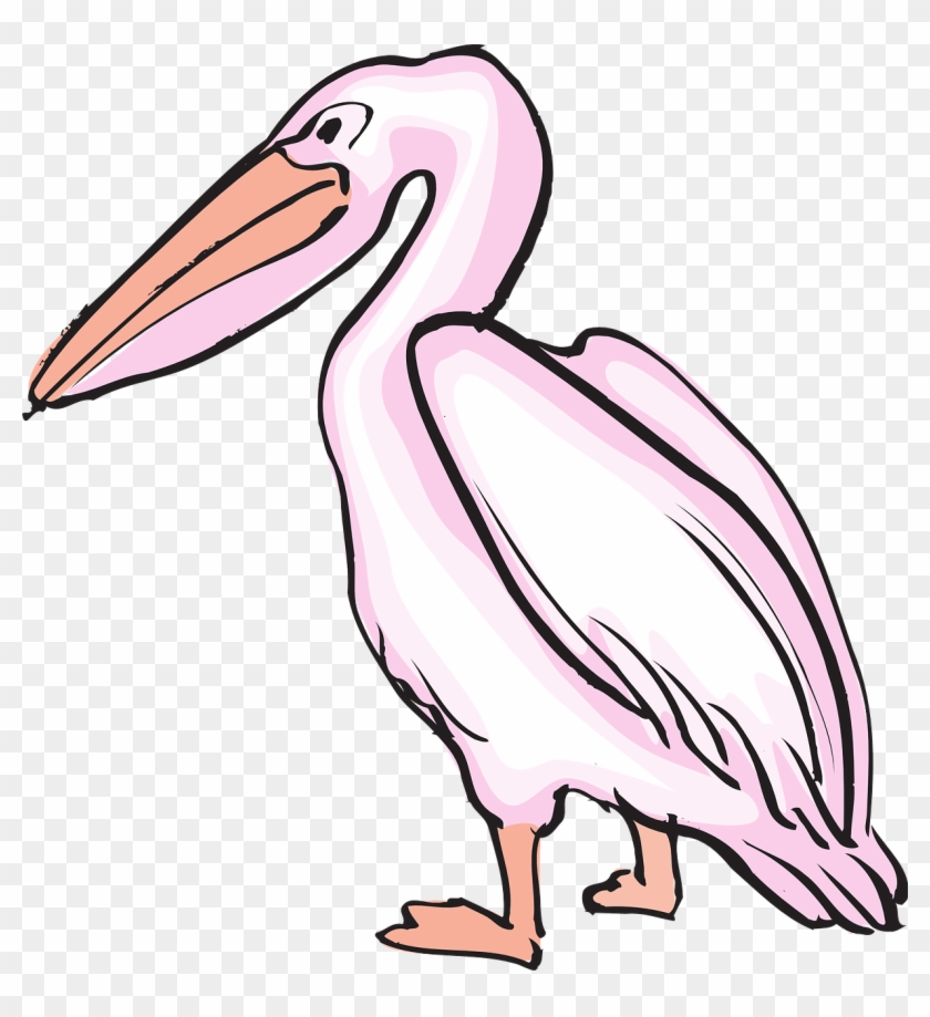 Pelican Seabid Png Image Pictures - Pelican Seabid Png Image Pictures #1565258
