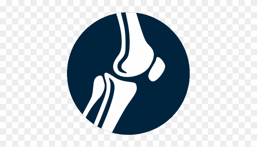 Bone Densitometry - Bone Densitometry #1566616