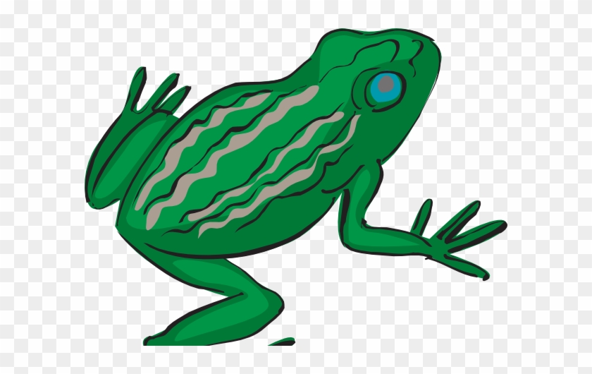 Frog T Chart - Frog T Chart #1567113