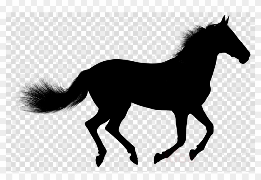 Silhueta Cavalo Png Clipart Horse - Silhueta Cavalo Png Clipart Horse #1567187