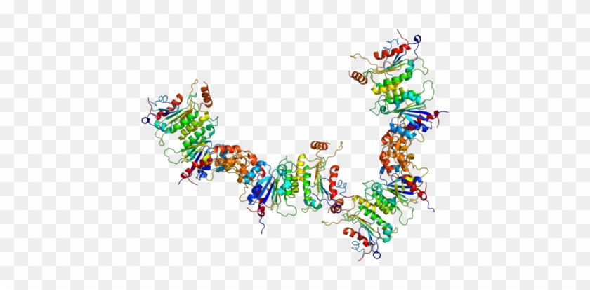 Epigenetics In Aml - Epigenetics In Aml #1567563