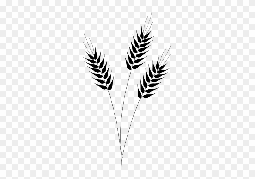 Resultado De Imagem Para Wheat Clip Art - Resultado De Imagem Para Wheat Clip Art #1567619