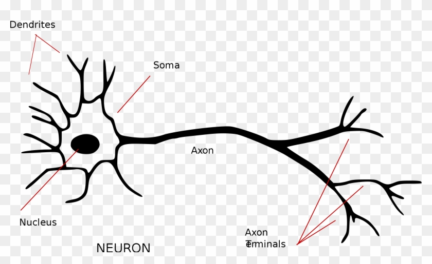 Perceptrons The First Neural - Perceptrons The First Neural #1567745