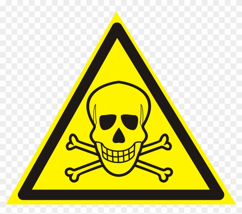 Skull - Life Threatening - Skull - Life Threatening #1568926