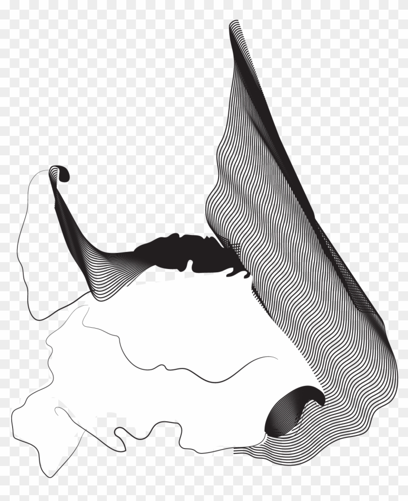East - Veracruz - East - Veracruz #1569307