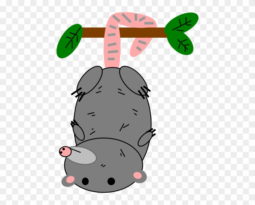 Possum Clipart - Possum Clipart #1570010