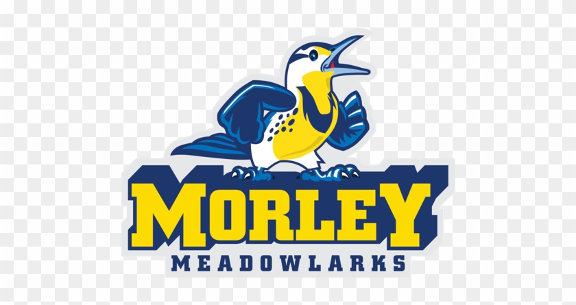 Morley Elementary - Morley Elementary #1570410