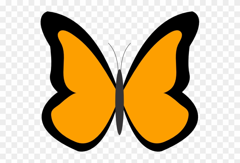 Orange Color Clipart - Orange Color Clipart #1570732