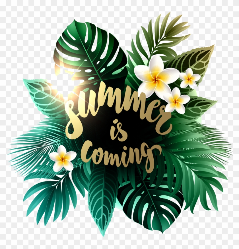 Free Summer Is Comming Png Image - Free Summer Is Comming Png Image #1570903