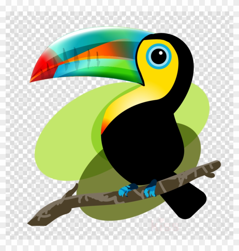 Tucan Animado Png Clipart Toucan Bird Clip Art - Tucan Animado Png Clipart Toucan Bird Clip Art #1571078