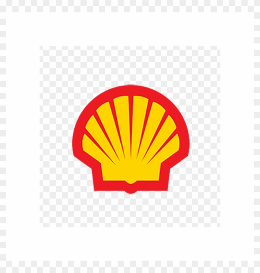 Shell Smaller - Shell Smaller #1571258