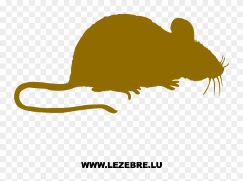 Autocollant Rat Png Rat Decal - Autocollant Rat Png Rat Decal #1571421