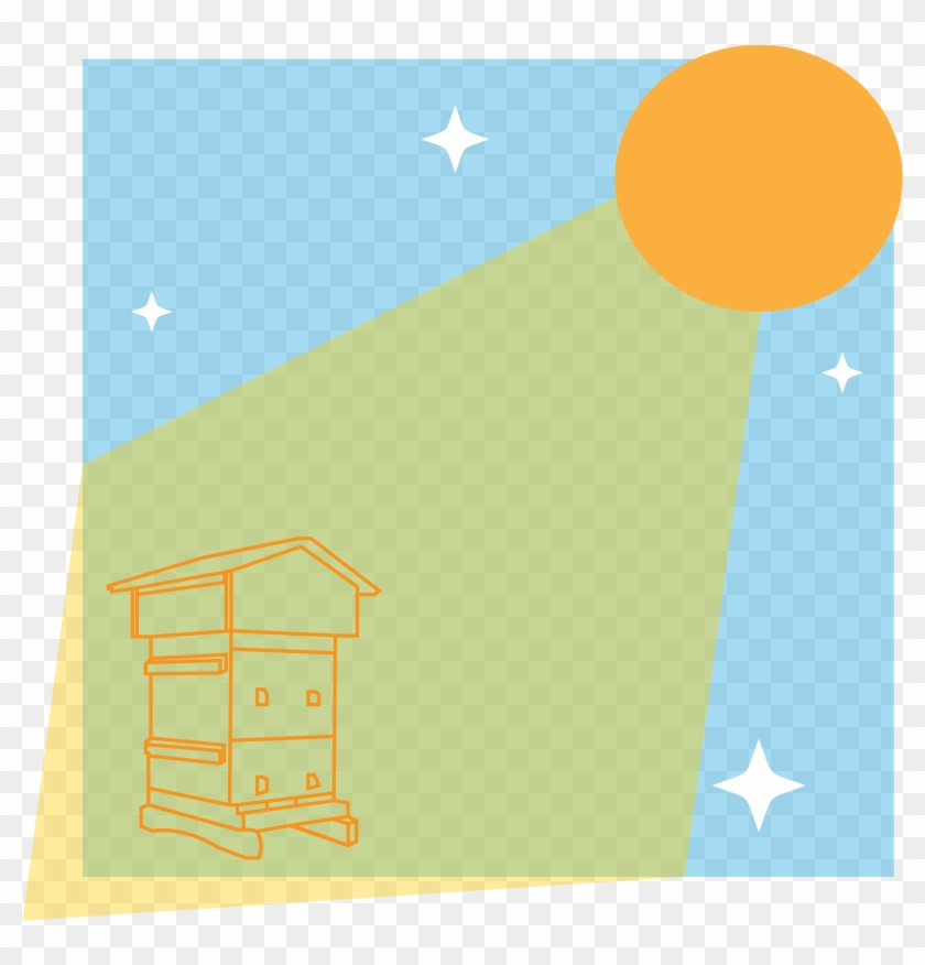 Buying Your First Beehive - Buying Your First Beehive #1572920