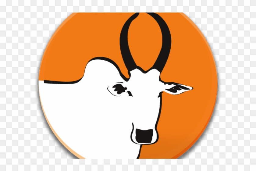 Bulls Clipart Kaalai - Bulls Clipart Kaalai #1572964