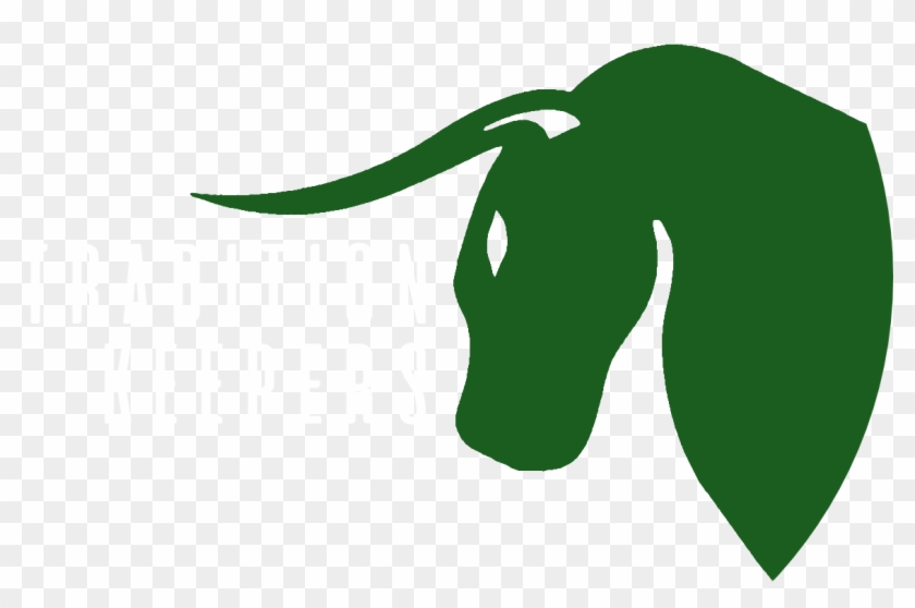 Bull Clipart Usf - Bull Clipart Usf #1572980