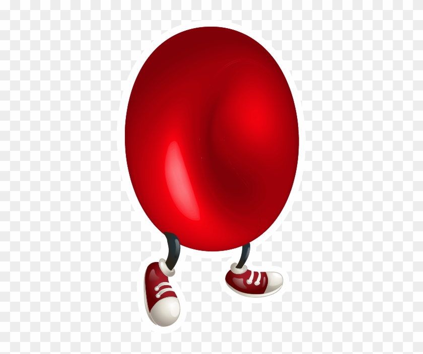 Red Blood Cell 1 - Red Blood Cell 1 #1573325