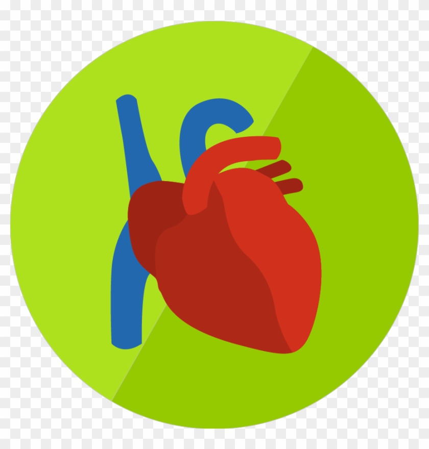 Lesson Icon - Lesson Icon #1573339