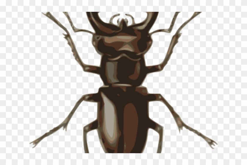 Beetles Clipart Staghorn - Beetles Clipart Staghorn #1573545