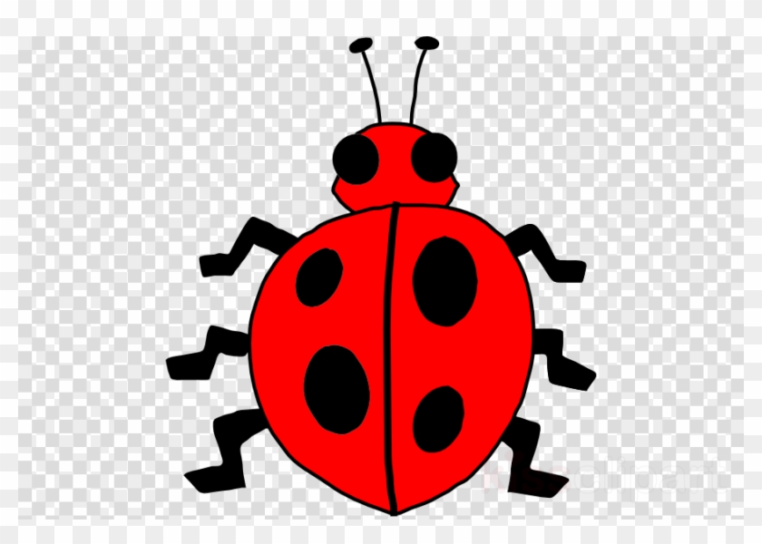 Bug Clip Art Clipart Insect Clip Art - Bug Clip Art Clipart Insect Clip Art #1573551