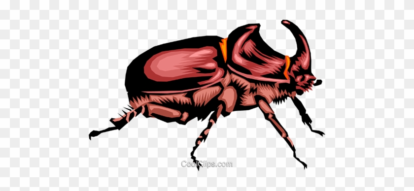 Beetle Royalty Free Vector Clip Art Illustration - Beetle Royalty Free Vector Clip Art Illustration #1573555