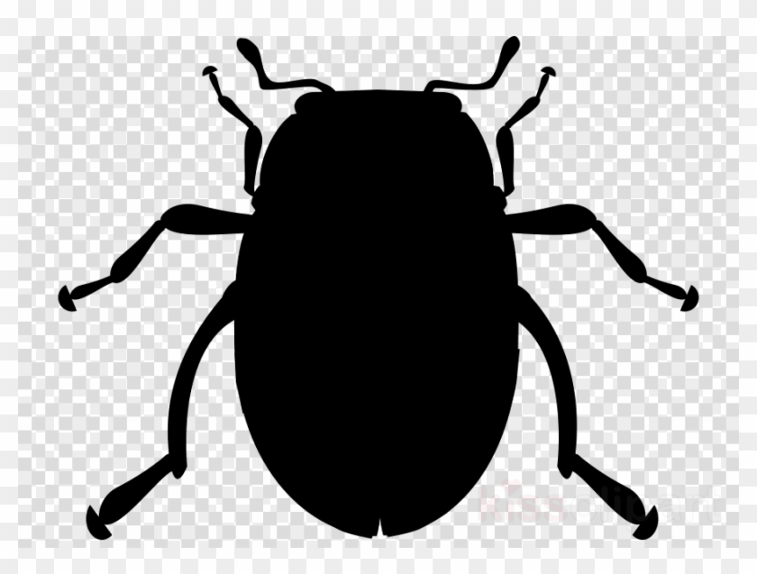 Clip Art Clipart Beetle Drawing Clip Art - Clip Art Clipart Beetle Drawing Clip Art #1573566