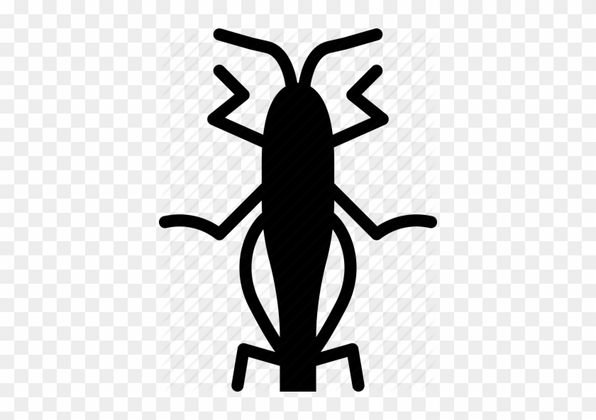 Grasshopper Clipart Beetle - Grasshopper Clipart Beetle #1573578