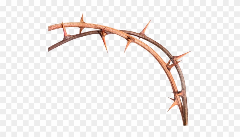 Thorn Transparent Background - Thorn Transparent Background #1575229