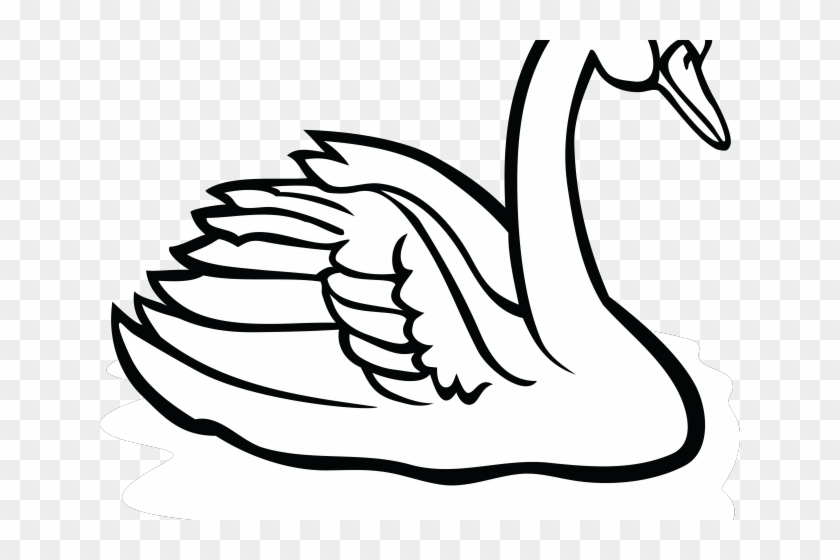 Black Swan Clipart Katayam - Black Swan Clipart Katayam #1576186