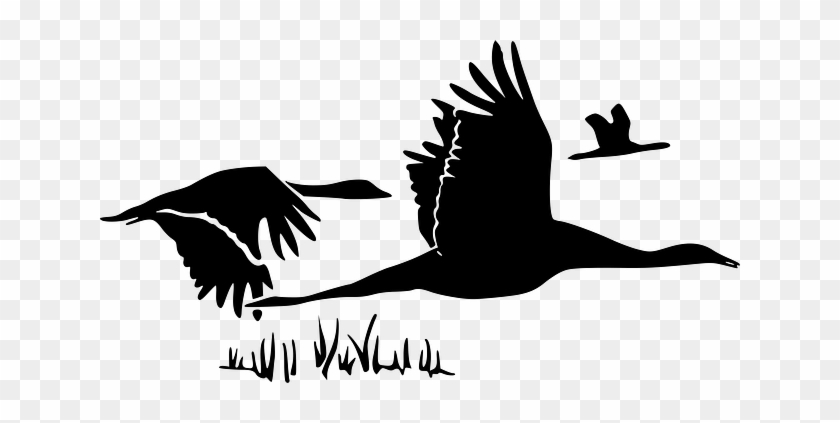 Black, Outline, Canada, Drawing, Silhouette - Black, Outline, Canada, Drawing, Silhouette #1576192