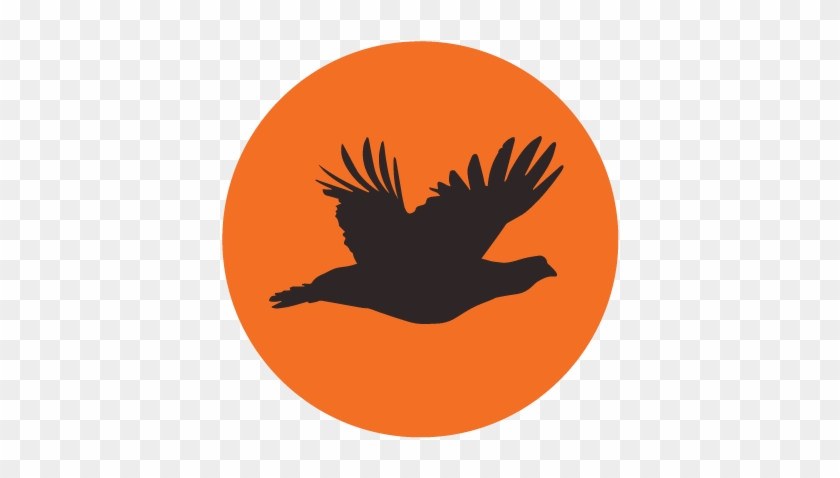 Iupland Pro Tip - Iupland Pro Tip #1576557
