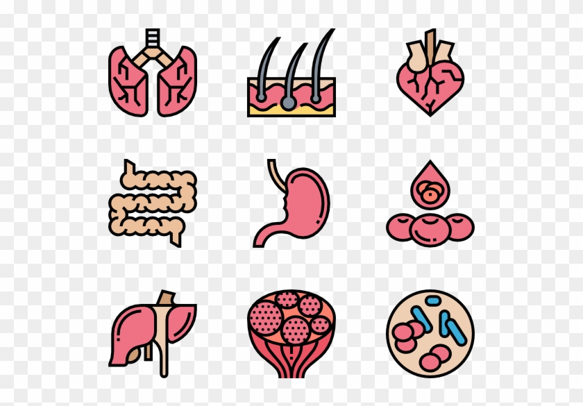 Human Organs - Human Organs #1576573