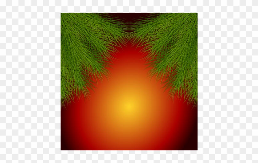 Green Background Backgrounds Cards Christmas Festivity - Green Background Backgrounds Cards Christmas Festivity #1576663