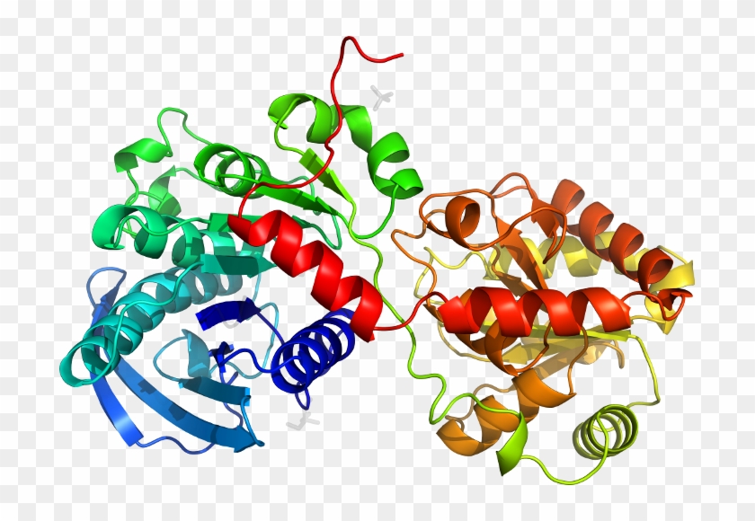 D3froa1 In Context Of Chain - D3froa1 In Context Of Chain #1578270