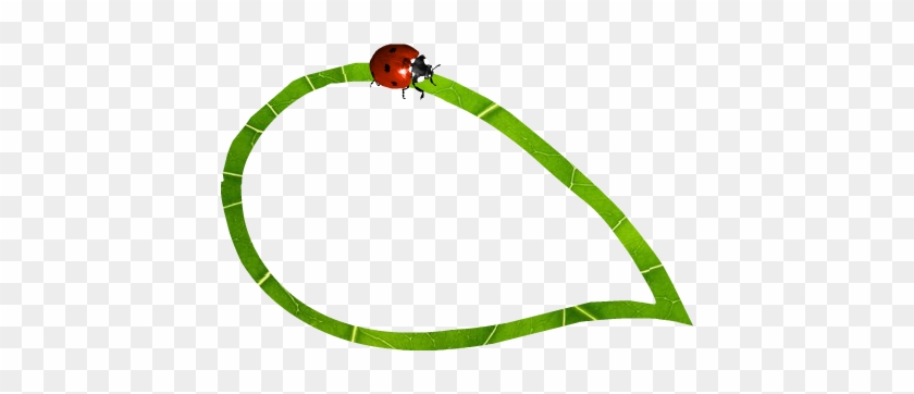 Foodchains - ' - Foodchains - ' #1578477
