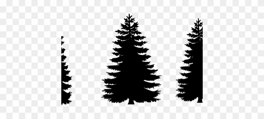 Pine Tree Clipart Realistic - Pine Tree Clipart Realistic #1579194