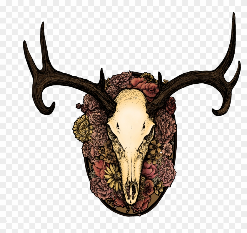 N1itdk4jou1s4mrato1 Animal Jam - N1itdk4jou1s4mrato1 Animal Jam #1579579